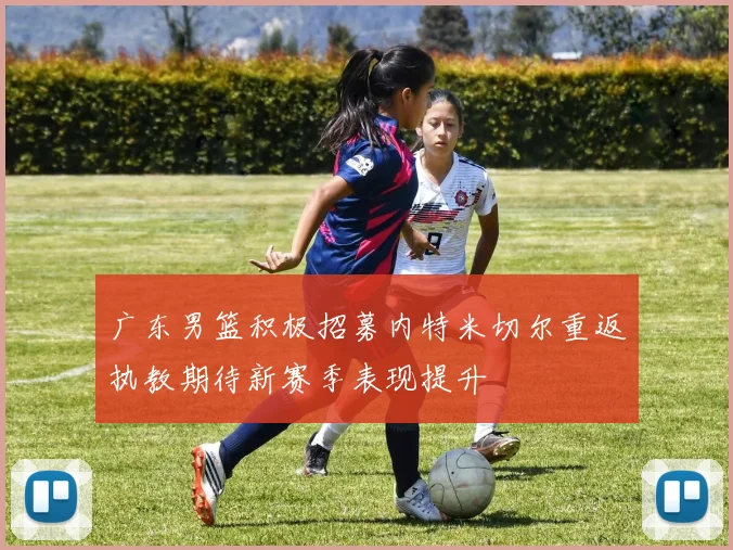 广东男篮积极招募内特米切尔重返执教期待新赛季表现提升