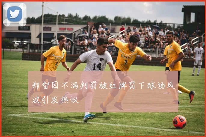 郑智因不满判罚被红牌罚下球场风波引发热议