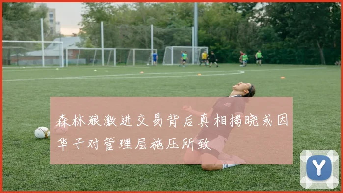 森林狼激进交易背后真相揭晓或因华子对管理层施压所致